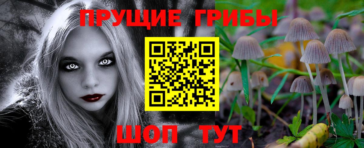 Галлюциногенные грибы Magic Shrooms  Псилоцибиновые грибы Cubensis  Воскресенск  Вход с VPN 